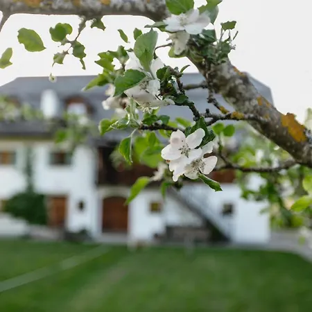 Apartment Am Fuschlsee Thalgau